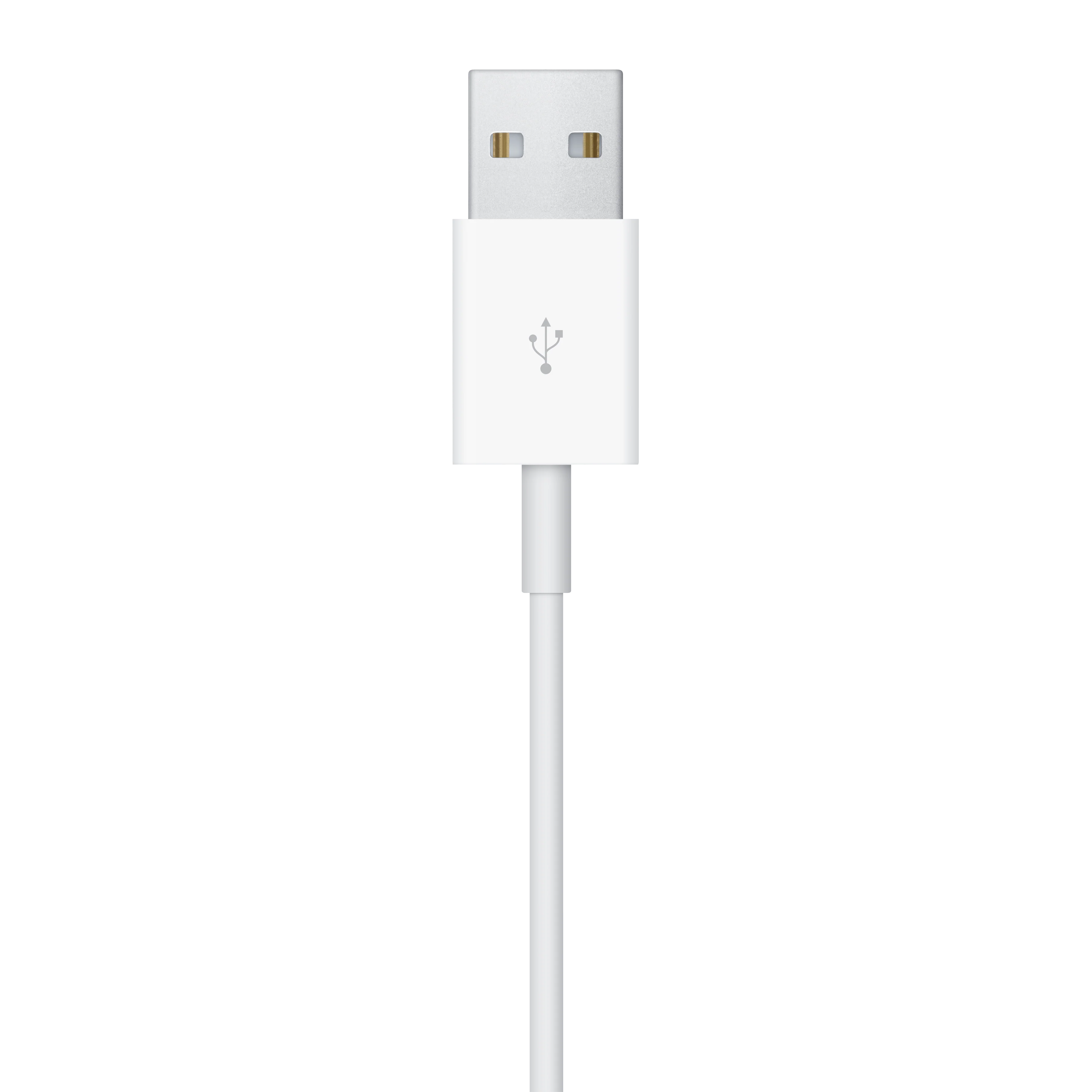 Cabo de carregamento magnético para Apple Watch (2 m) - Image 4